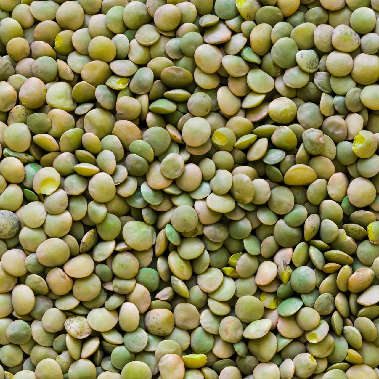 Green Lentils